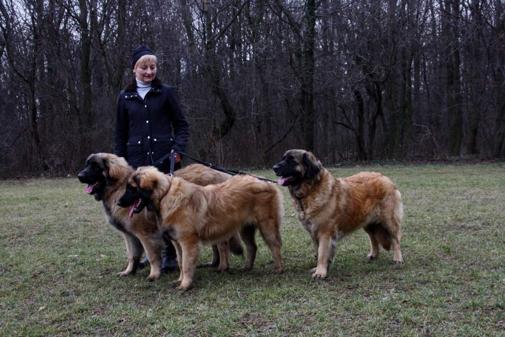 Spaziergang mit unserem Frauerl