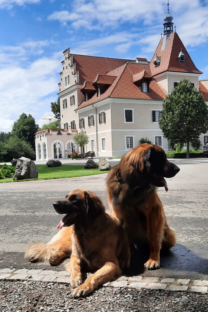 Wir achten auf unser Schloss in der Steiermark