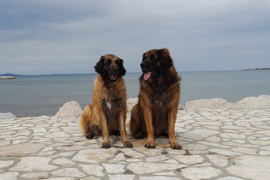 immer gemeinsam auf Urlaub in Zadar