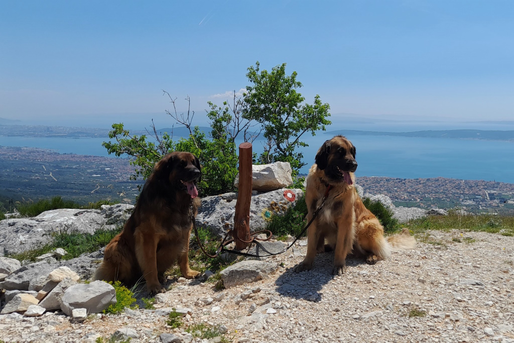 Herrliche Aussicht vom Malacka auf Split