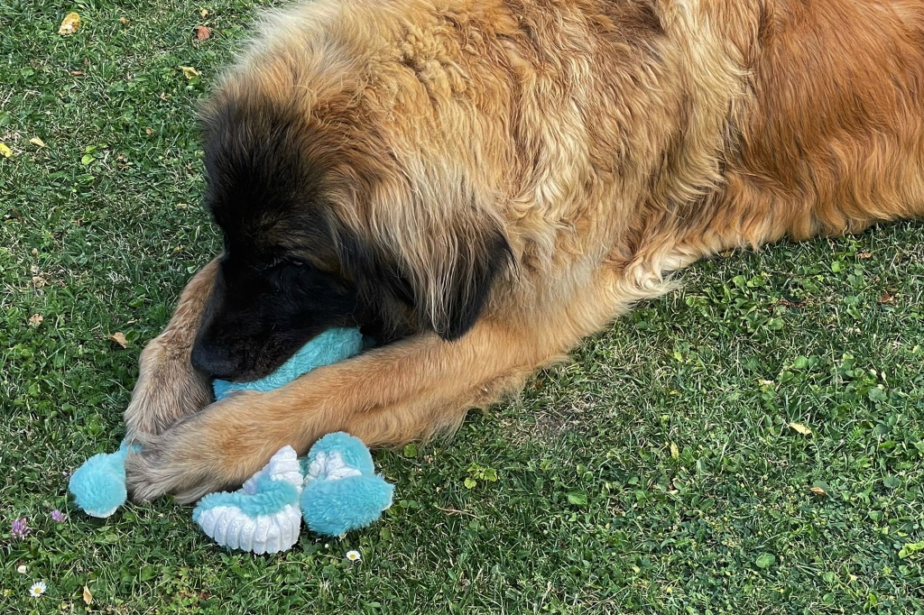 Abby spielt auch mit 9 Jahren noch gerne 