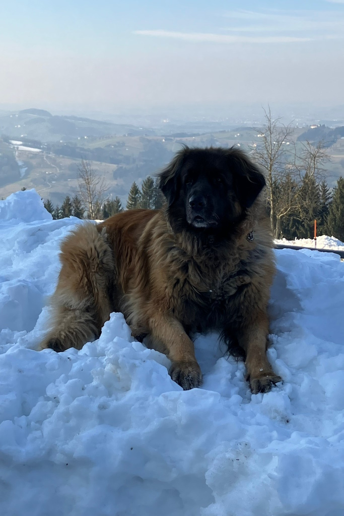 Lana immer noch am Berg