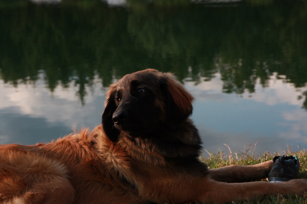 Faye rastet am Wasser