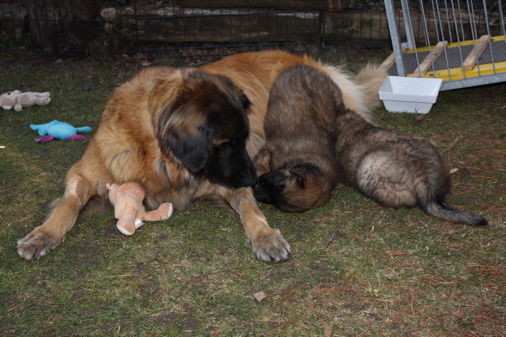 hallo Mama, gibt`s noch Milch ?