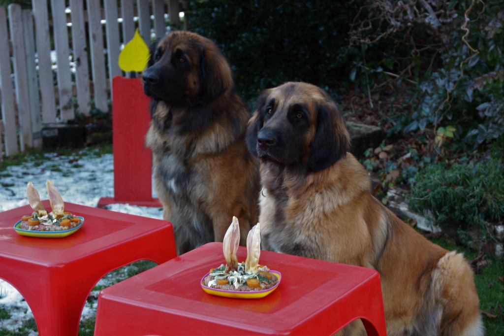 Auch am Geburtstag heißt es warten