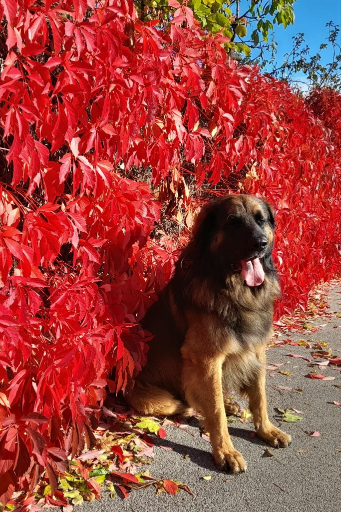 ... alles wird bunt