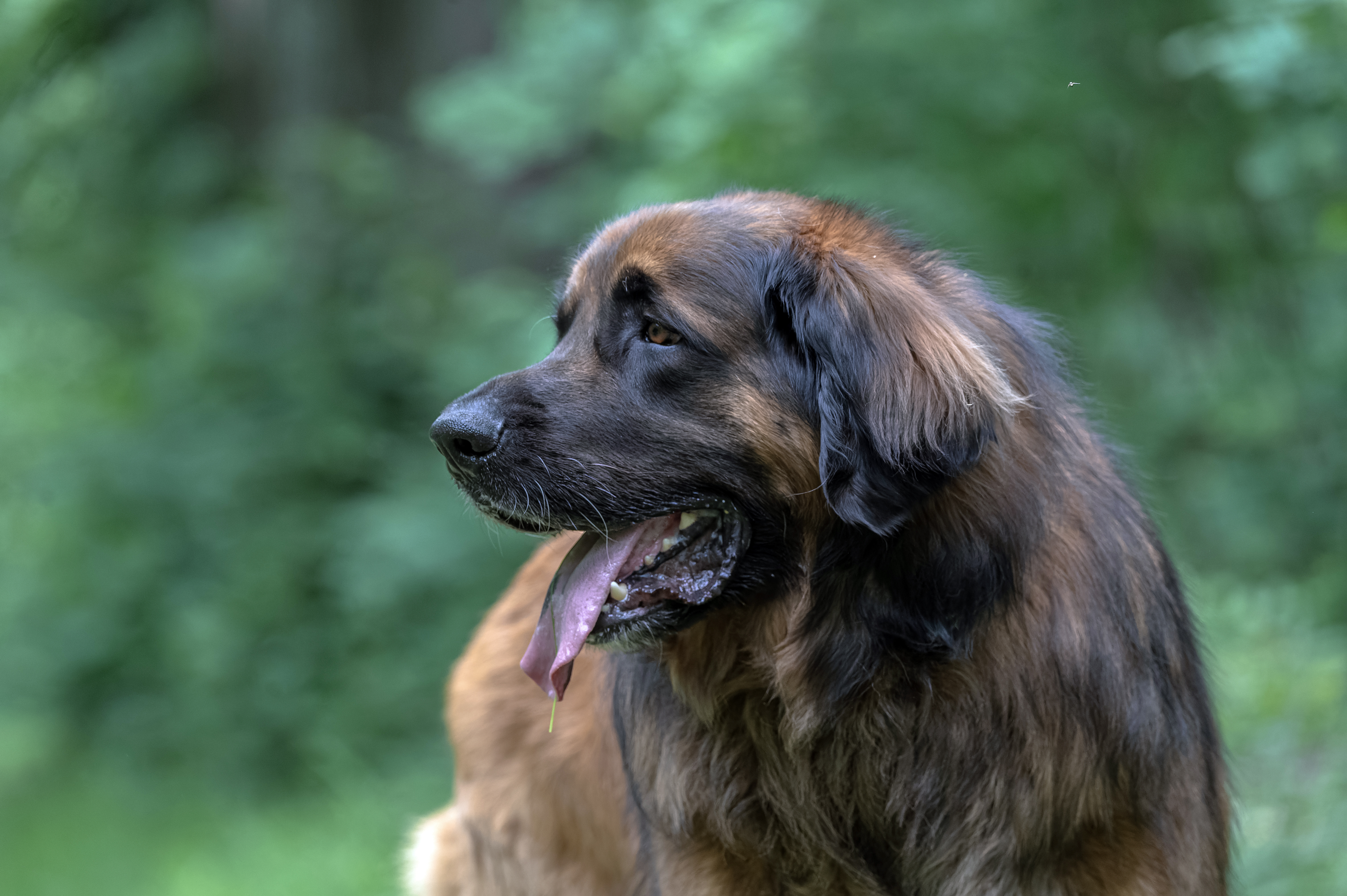 Jetzt bin ich 6 Jahre alt und immer noch top fit!